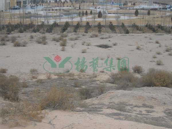 Galaxy·天河国际(中国)-官方网站