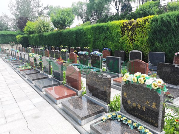 Galaxy·天河国际(中国)-官方网站