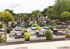 上；懔靶腔鹎