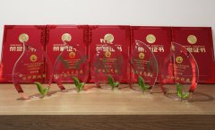 “Galaxy银河国际杯」劂江省节地生态安葬设计文章奖