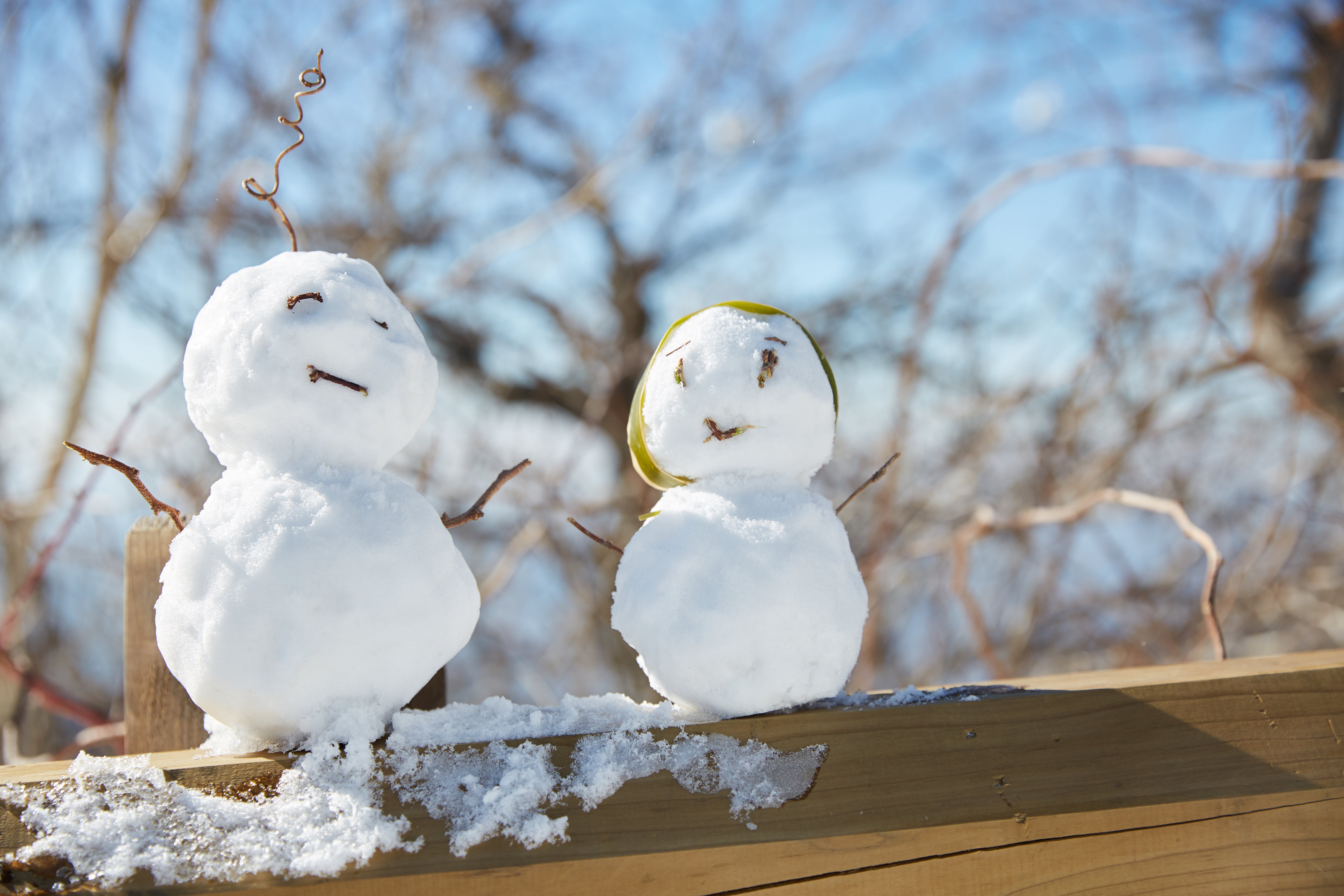 冬至，暖“杨”相伴 | Galaxy银河国际人全力共同各墓园冬至落葬