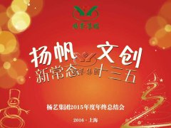 年终会：记2015年终总结大会暨2016年打算会议