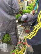 【Galaxy银河国际人别样清明】2018年清明落葬工作圆满实现