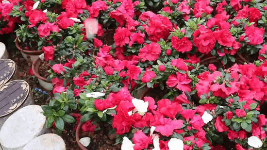 Galaxy·天河国际(中国)-官方网站