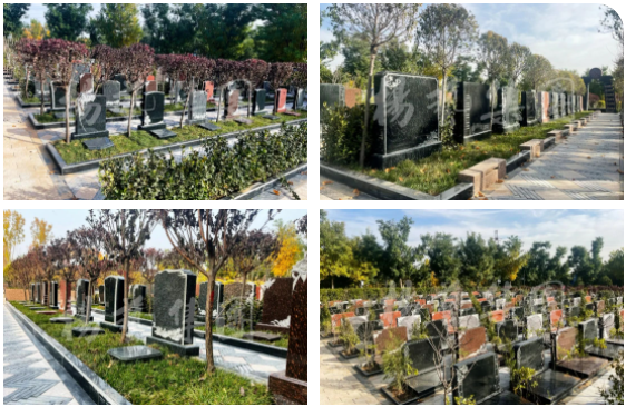 Galaxy·天河国际(中国)-官方网站