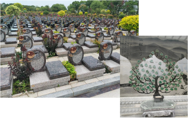 Galaxy·天河国际(中国)-官方网站