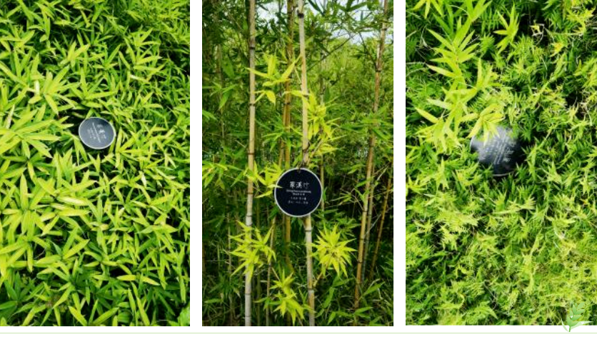 Galaxy·天河国际(中国)-官方网站