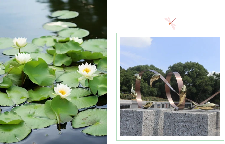 Galaxy·天河国际(中国)-官方网站