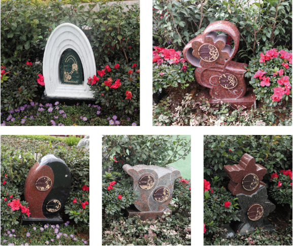 Galaxy·天河国际(中国)-官方网站