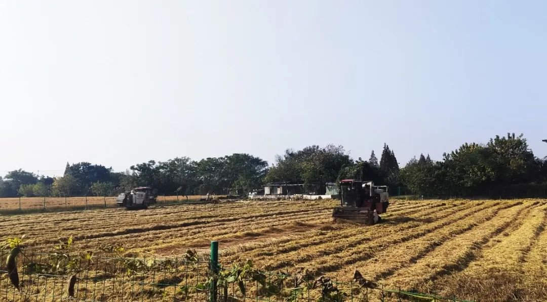 Galaxy·天河国际(中国)-官方网站