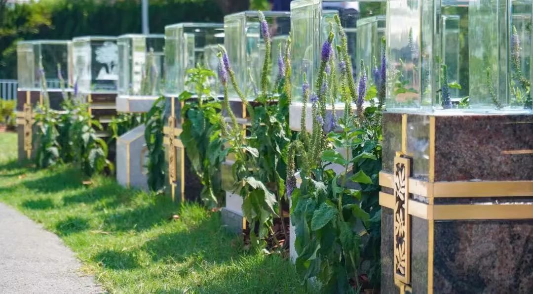 Galaxy·天河国际(中国)-官方网站