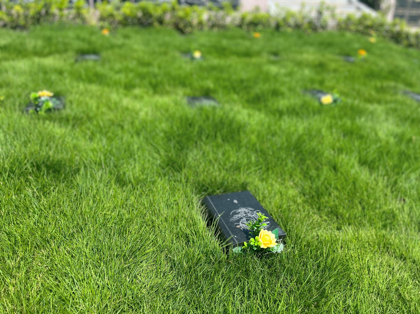 Galaxy·天河国际(中国)-官方网站