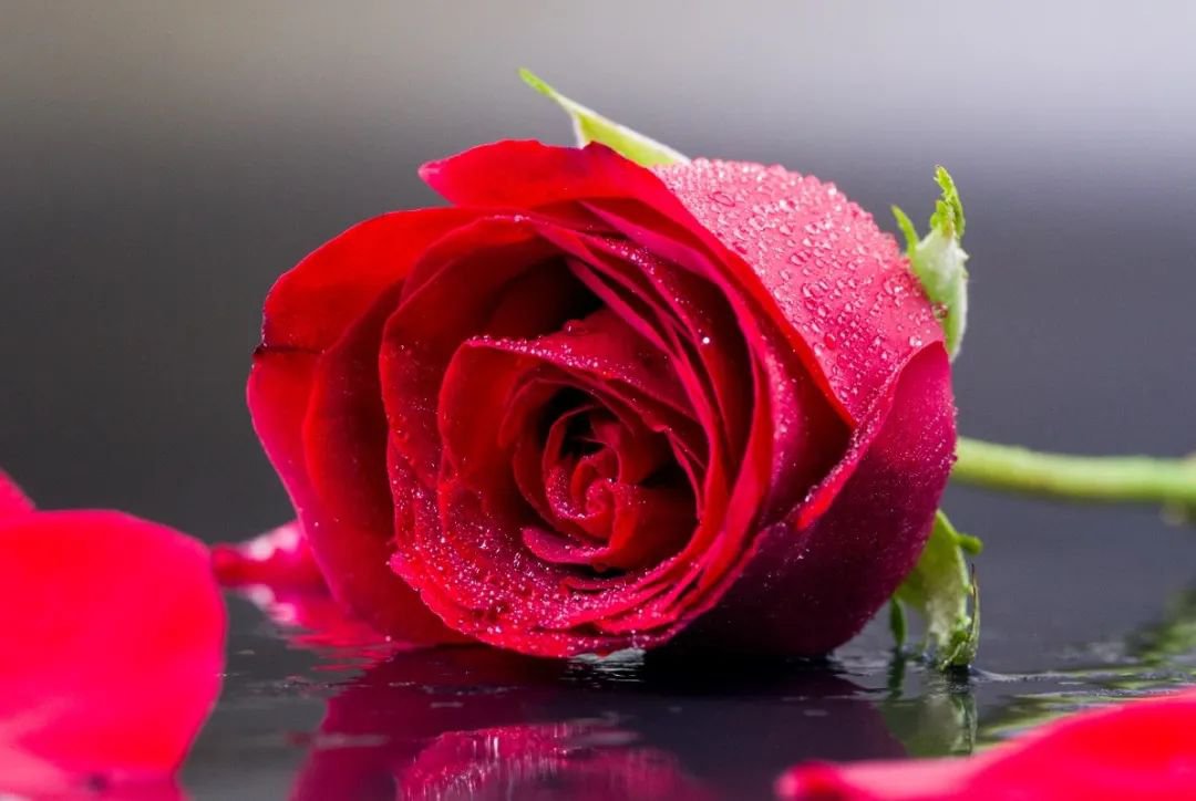 女神节 | 致敬“她”力量，共筑美好将来