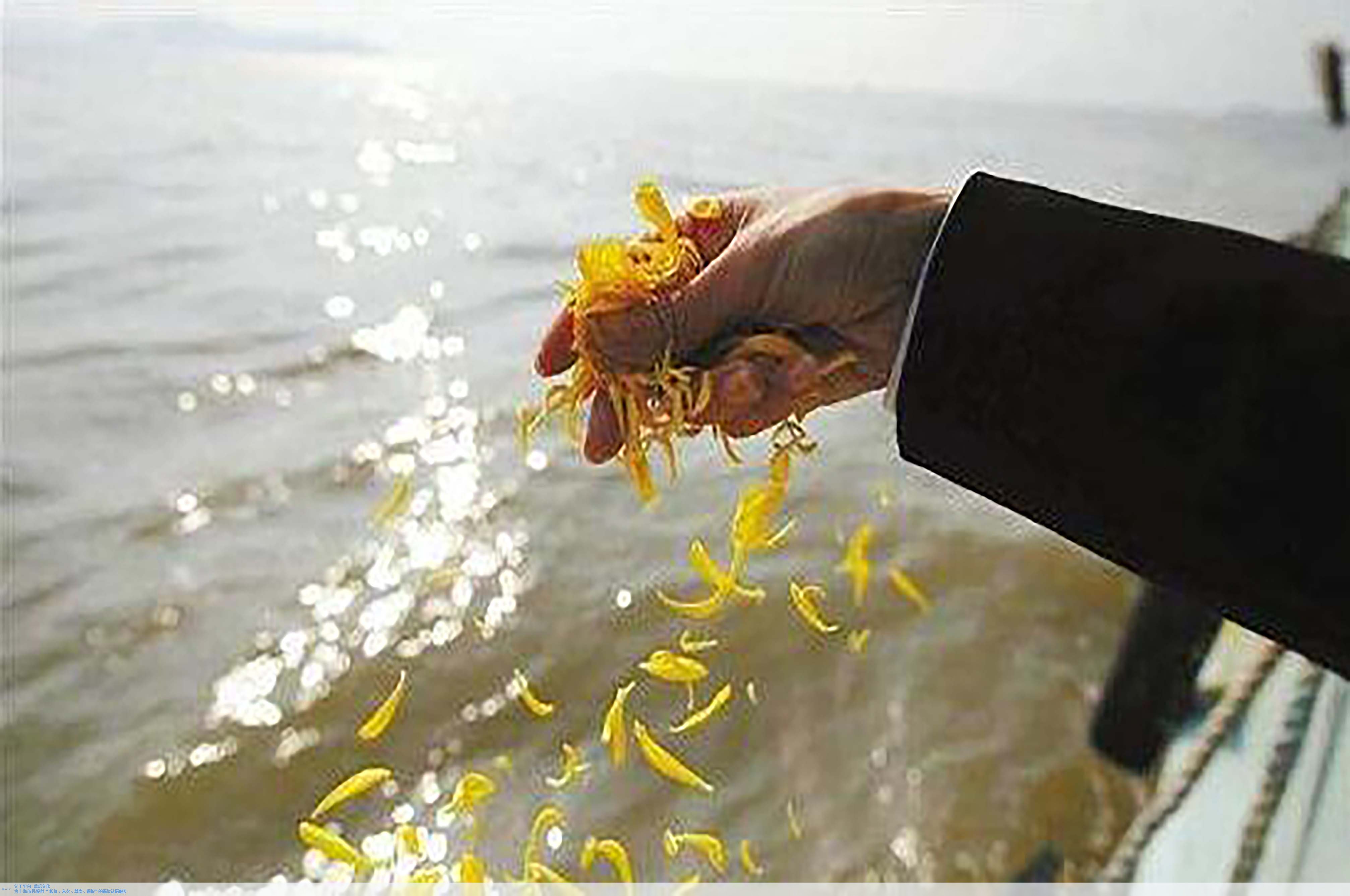 Galaxy·天河国际(中国)-官方网站