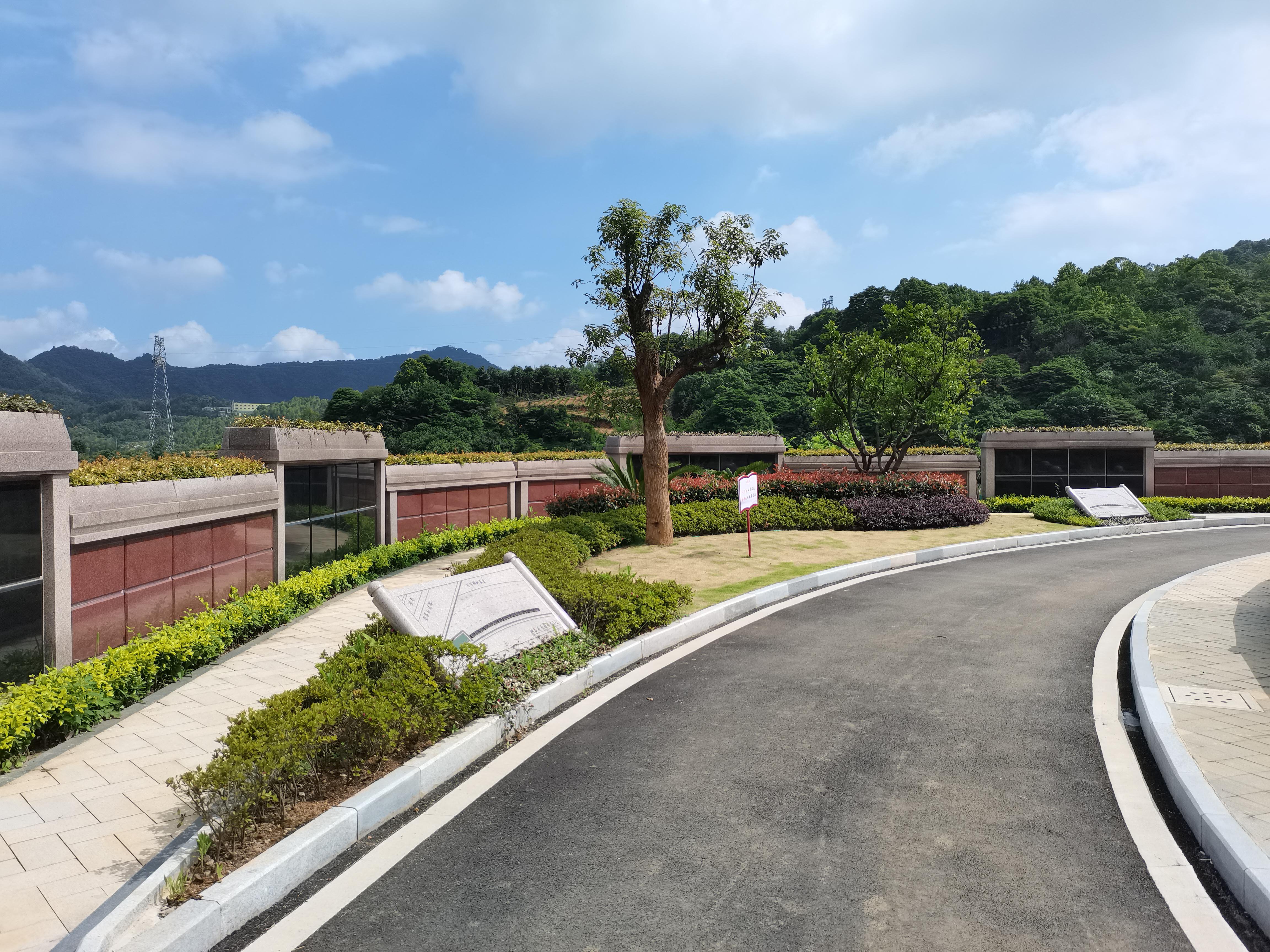 海葬和树葬哪个好？两种生态葬祭方式的选择与意思