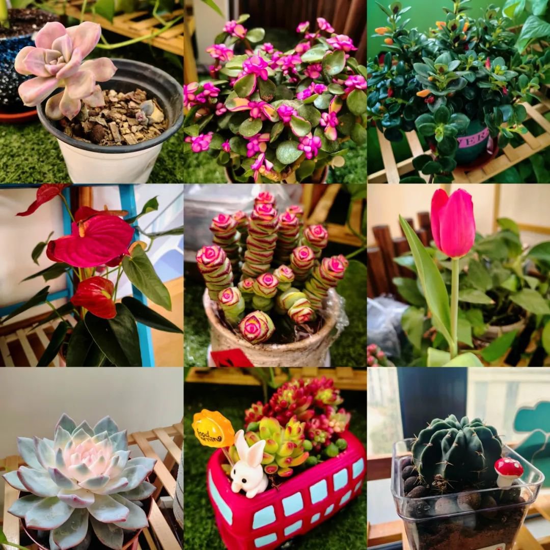 Galaxy·天河国际(中国)-官方网站