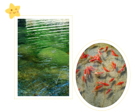 Galaxy·天河国际(中国)-官方网站