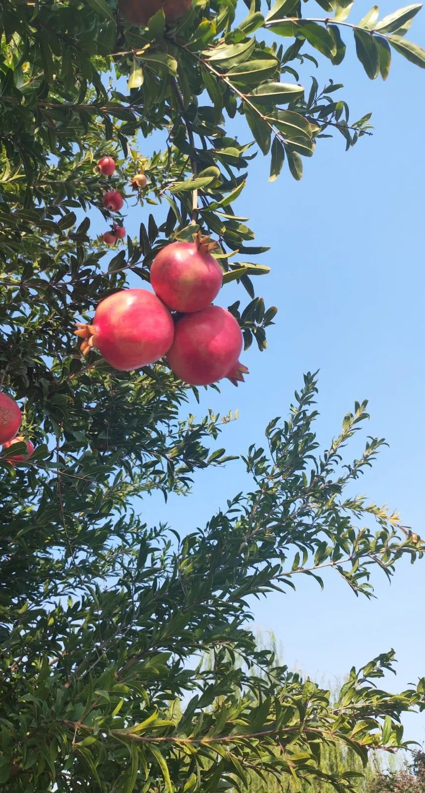 Galaxy·天河国际(中国)-官方网站