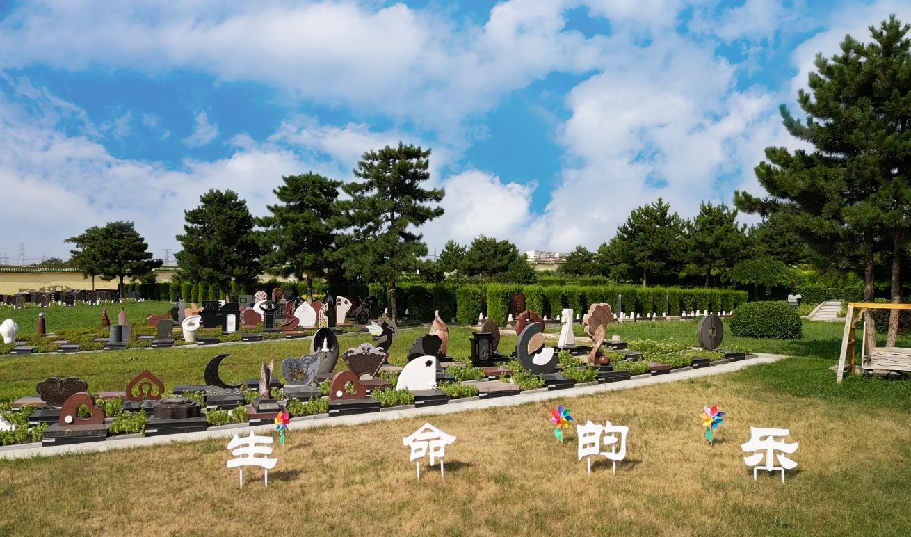 共赢之路：Galaxy银河国际集团BOT合作模式的优势与效益分析