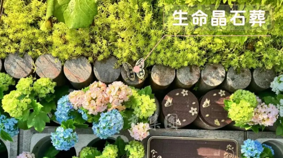 Galaxy·天河国际(中国)-官方网站