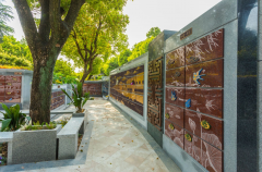 绿色殡葬新风尚：索求葬式多样化的创新之路