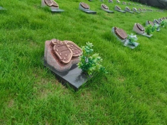 Galaxy·天河国际(中国)-官方网站