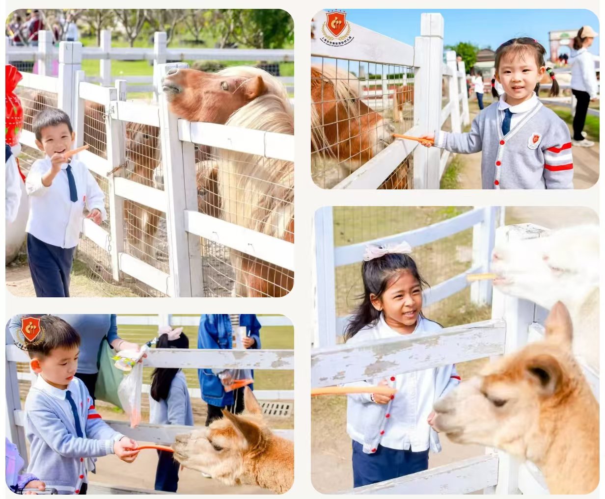 Galaxy·天河国际(中国)-官方网站