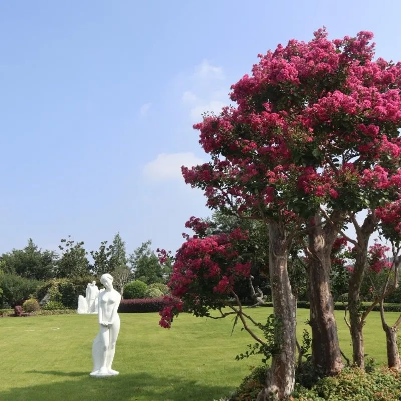 Galaxy·天河国际(中国)-官方网站