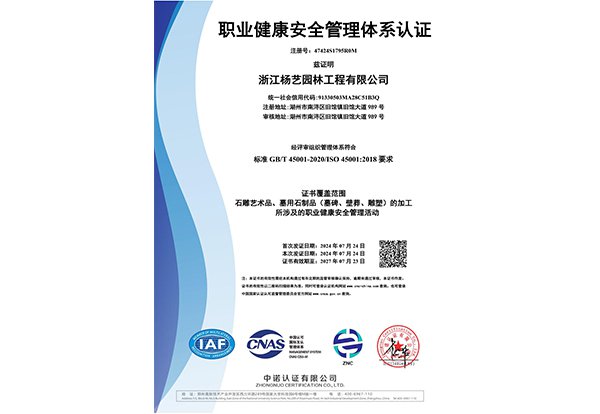 职业健全安全治理系统认证