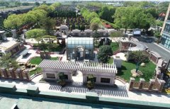 方寸之间，艺术与天然共舞