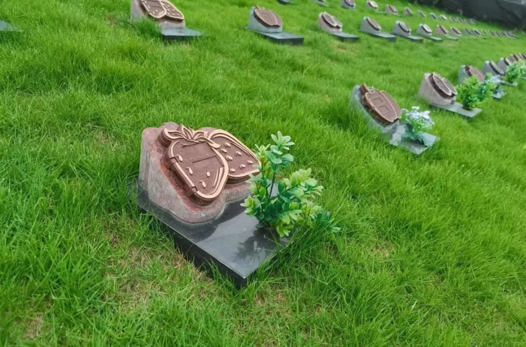 Galaxy·天河国际(中国)-官方网站