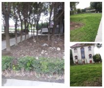 老墓园刷新：城市中的绿色影象与文化传承