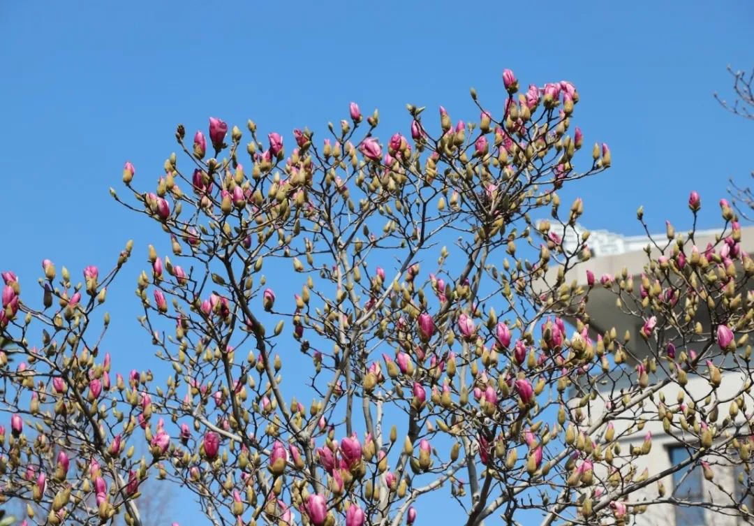 Galaxy·天河国际(中国)-官方网站