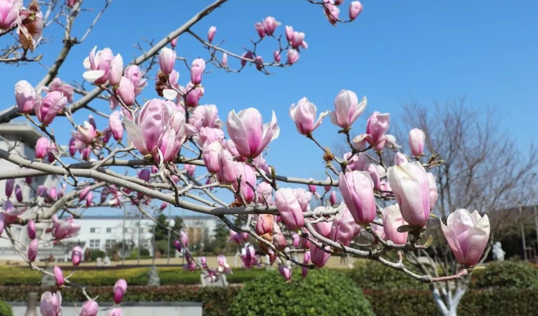 Galaxy·天河国际(中国)-官方网站