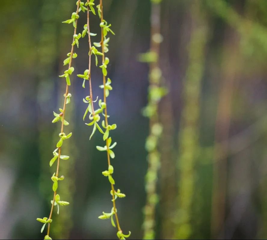 Galaxy·天河国际(中国)-官方网站