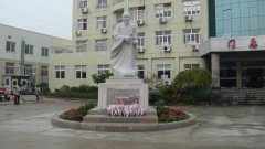 石雕匠心，镌刻医者风华