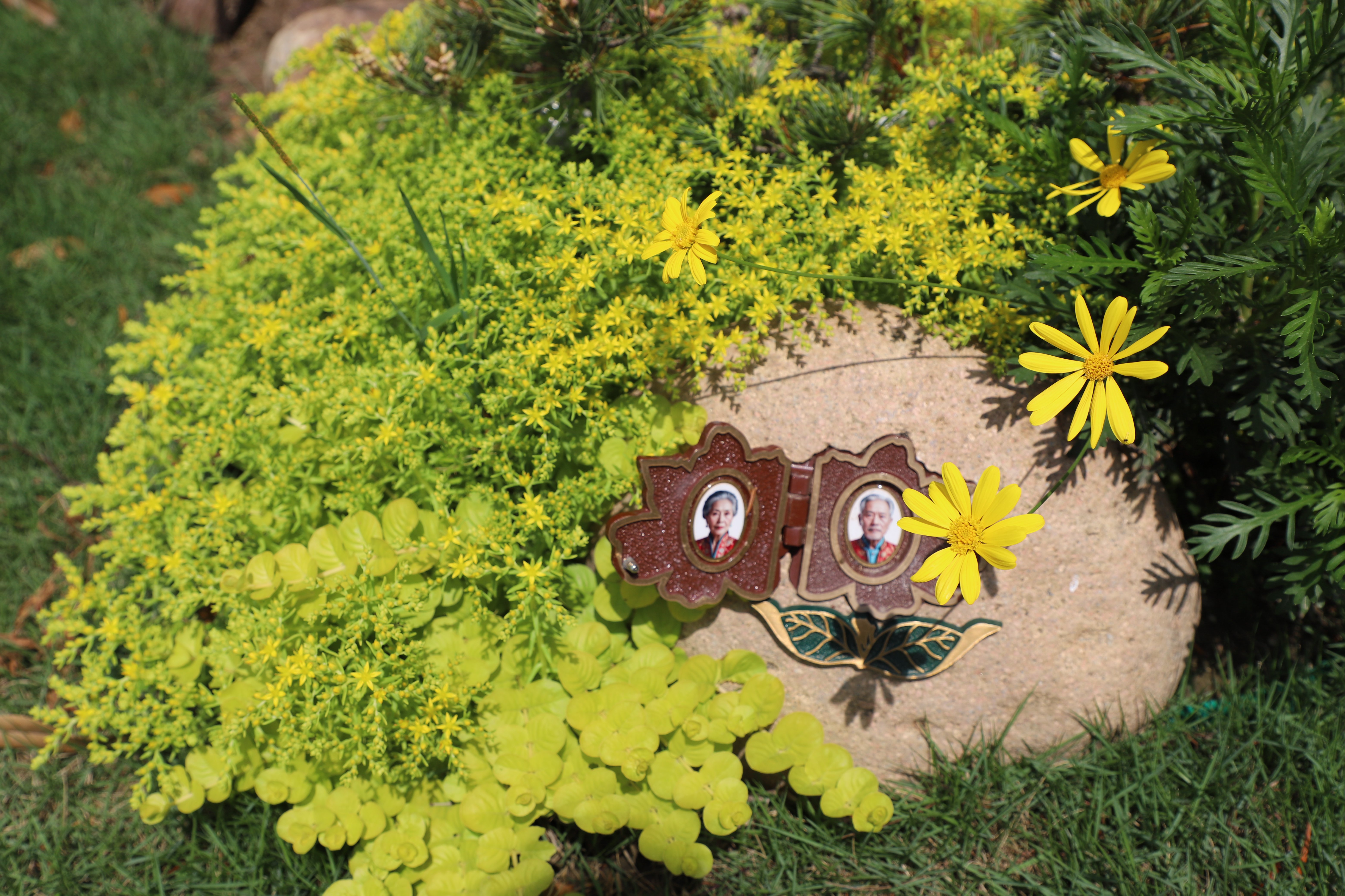 Galaxy·天河国际(中国)-官方网站