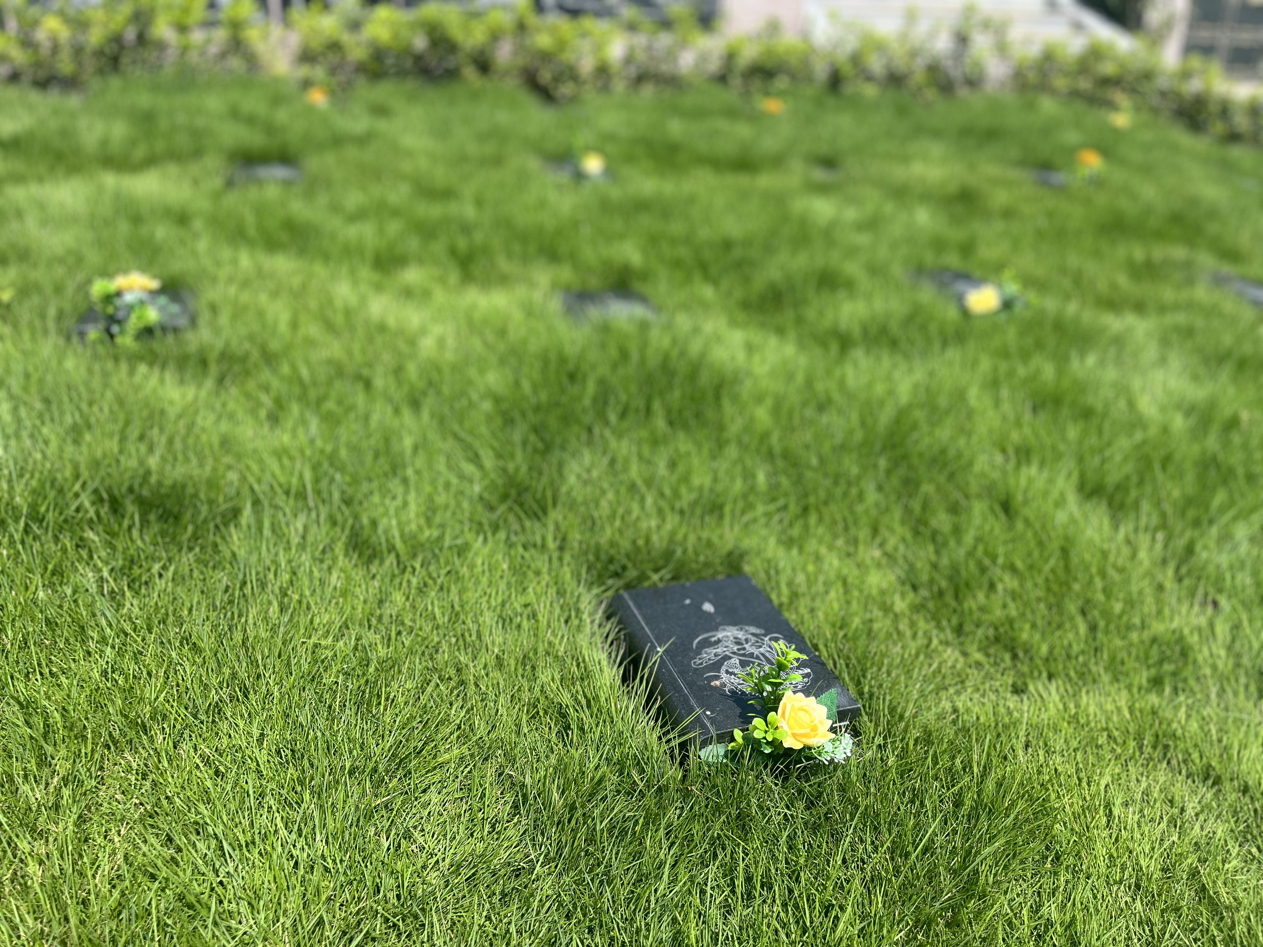 Galaxy·天河国际(中国)-官方网站