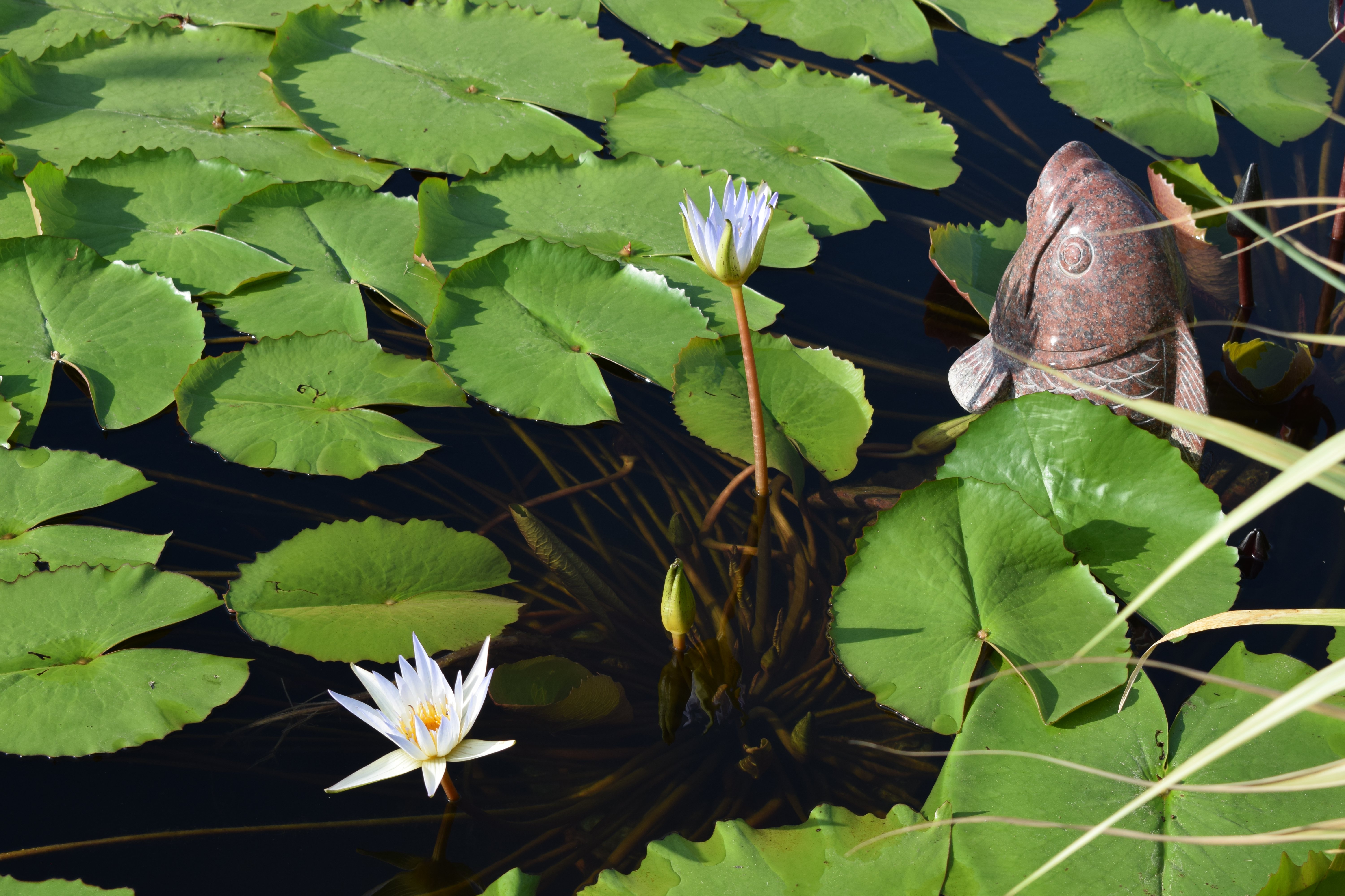 Galaxy·天河国际(中国)-官方网站