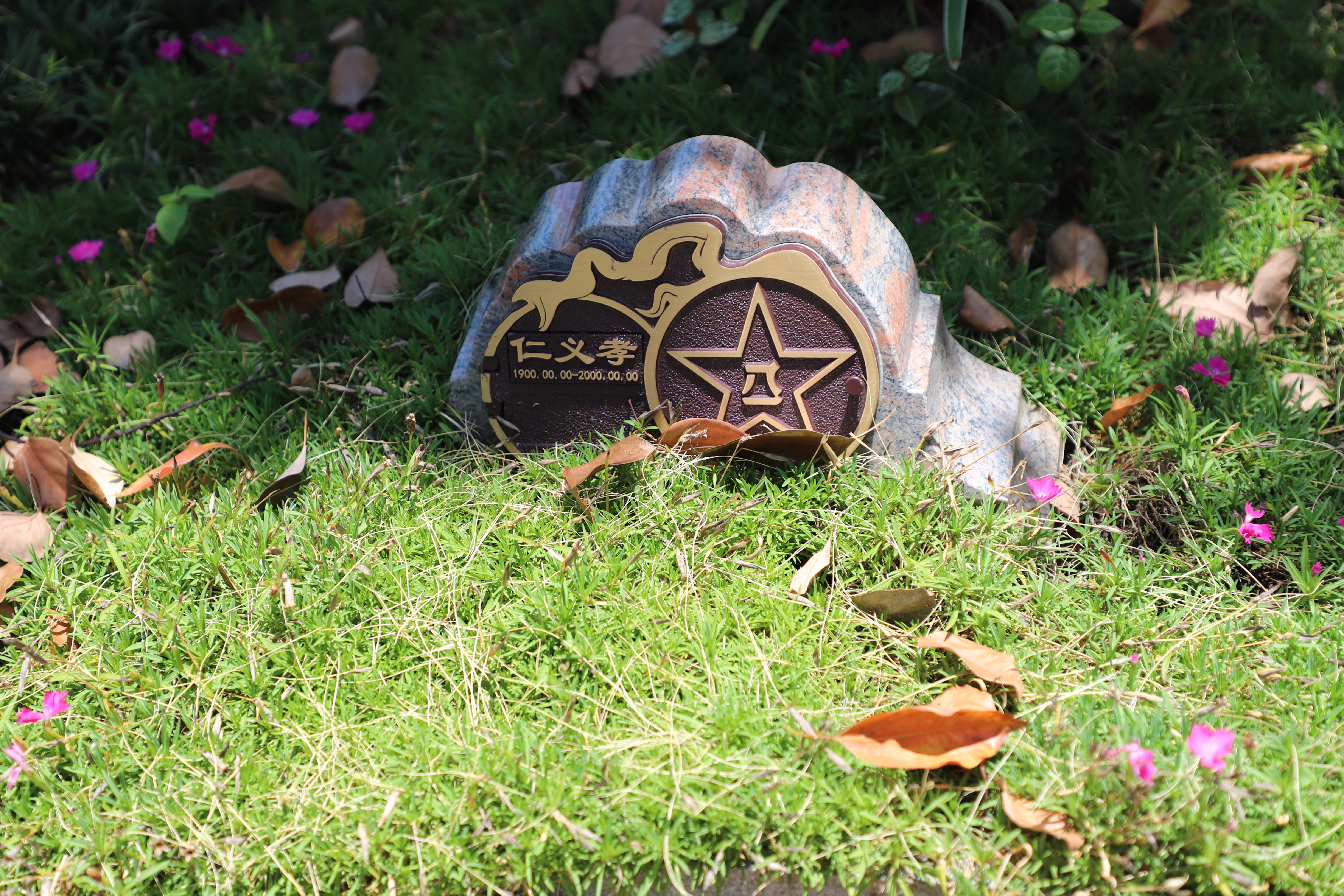 尘归尘，土归土：当性命终与天然相融