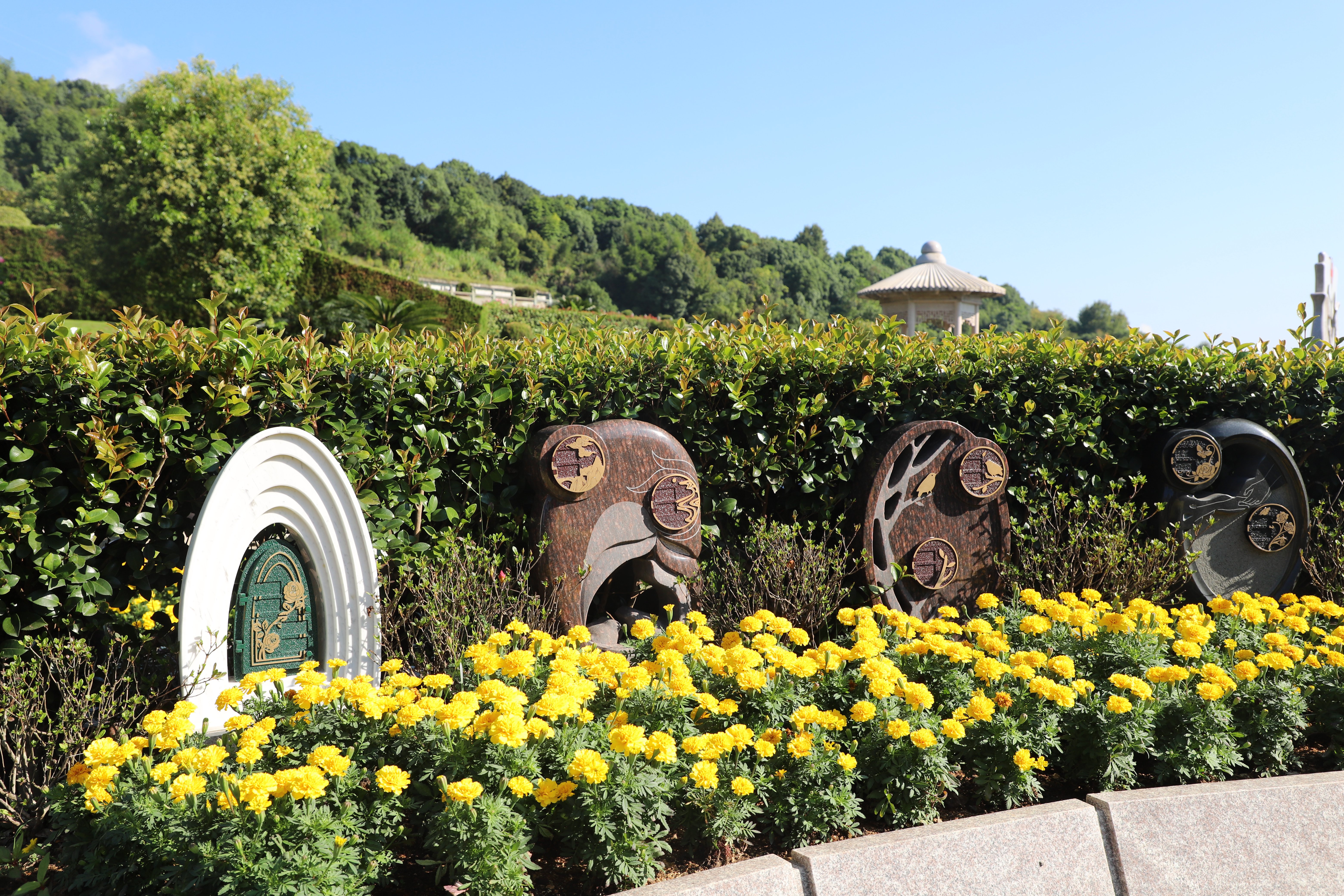 Galaxy·天河国际(中国)-官方网站