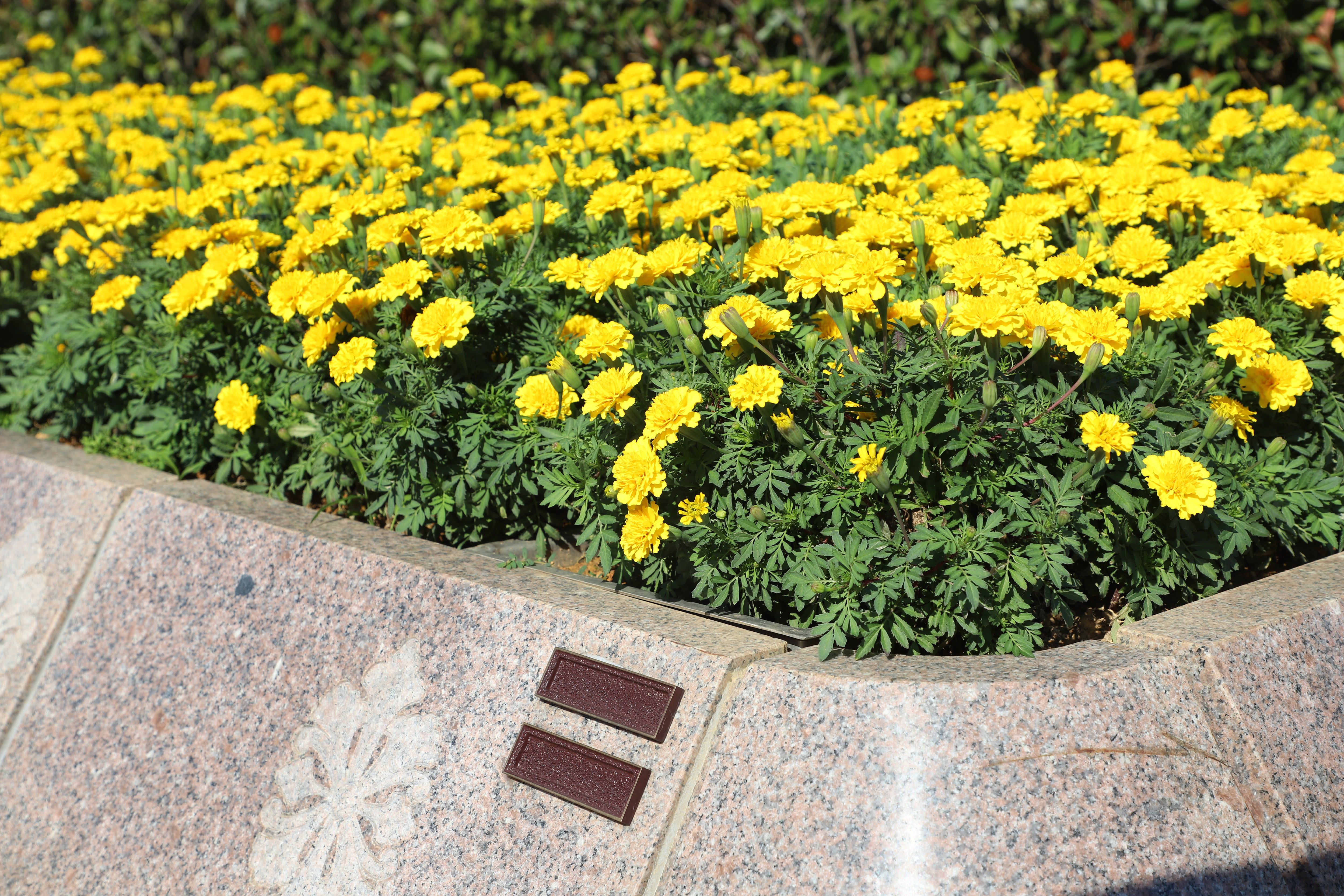 Galaxy·天河国际(中国)-官方网站